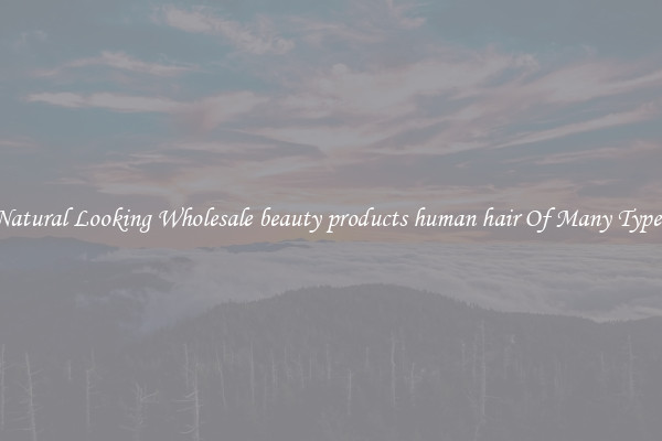 Natural Looking Wholesale beauty products human hair Of Many Types