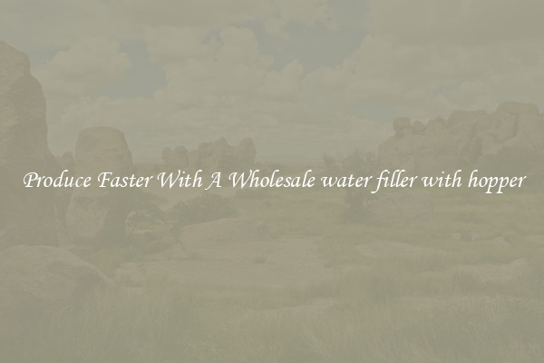 Produce Faster With A Wholesale water filler with hopper