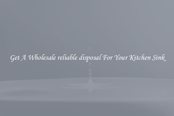 Get A Wholesale reliable disposal For Your Kitchen Sink