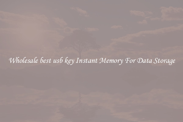 Wholesale best usb key Instant Memory For Data Storage