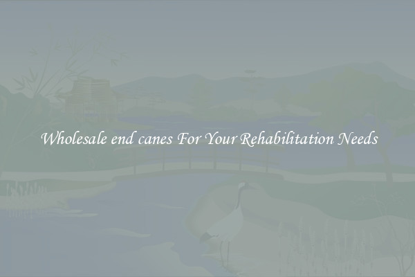 Wholesale end canes For Your Rehabilitation Needs