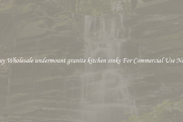 Buy Wholesale undermount granite kitchen sinks For Commercial Use Now