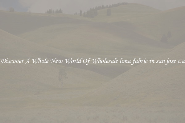 Discover A Whole New World Of Wholesale lona fabric in san jose c.a
