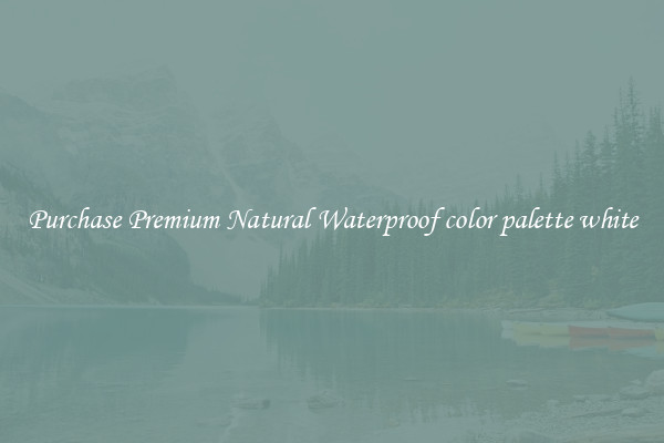Purchase Premium Natural Waterproof color palette white