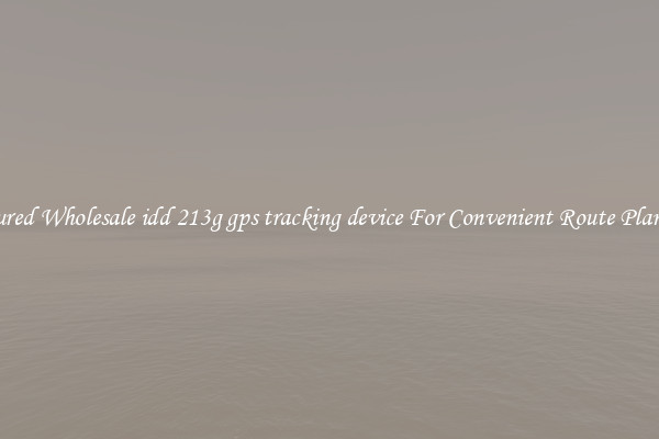 Featured Wholesale idd 213g gps tracking device For Convenient Route Planning 