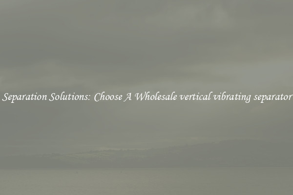 Separation Solutions: Choose A Wholesale vertical vibrating separator