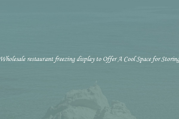 Wholesale restaurant freezing display to Offer A Cool Space for Storing