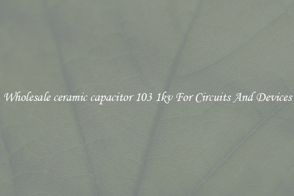 Wholesale ceramic capacitor 103 1kv For Circuits And Devices