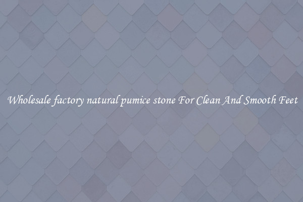 Wholesale factory natural pumice stone For Clean And Smooth Feet