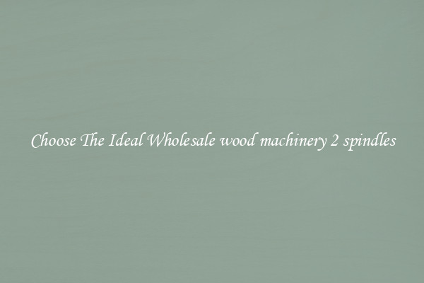 Choose The Ideal Wholesale wood machinery 2 spindles