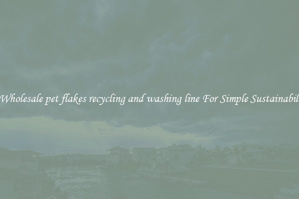  A Wholesale pet flakes recycling and washing line For Simple Sustainability 