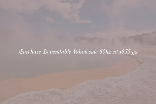 Purchase Dependable Wholesale 60hz nta855 ga