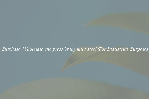 Purchase Wholesale cnc press brake mild steel For Industrial Purposes
