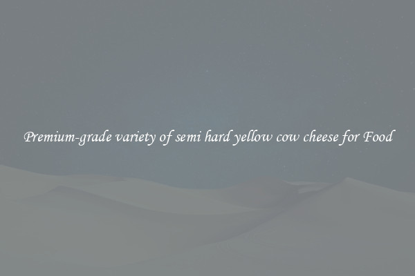 Premium-grade variety of semi hard yellow cow cheese for Food