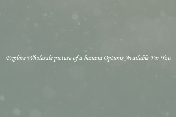 Explore Wholesale picture of a banana Options Available For You